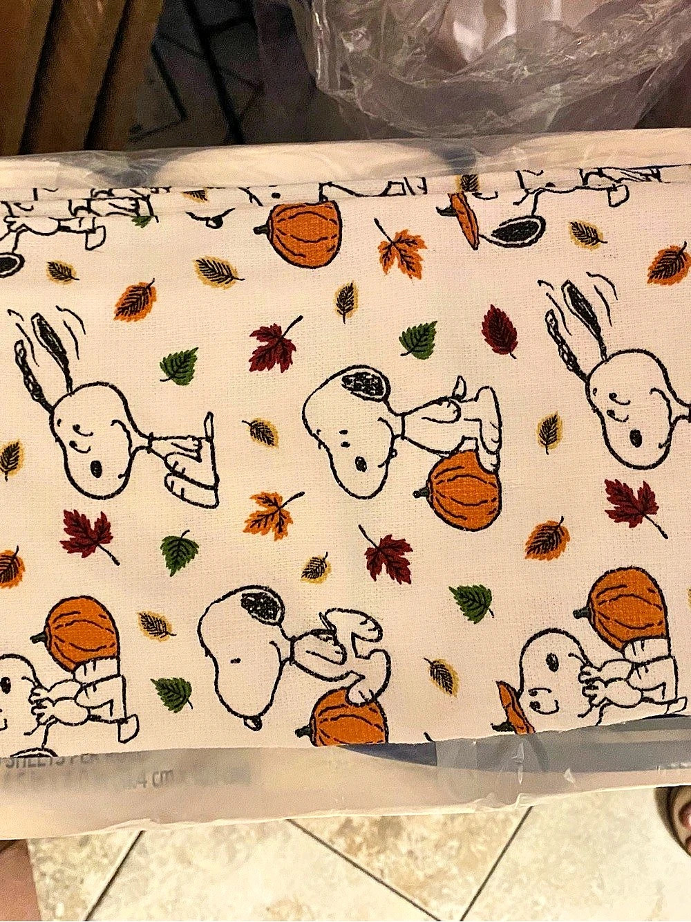 Peanuts Snoopy Set of 2 Kitchen Towels